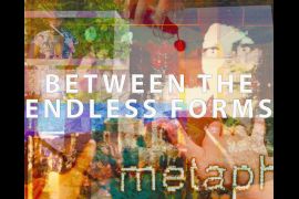 Between the Endless Forms collage image