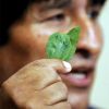 Screen/Society--Latin American Film Festival--"Que Pasa Despues De La Coca/ Coca Lives"